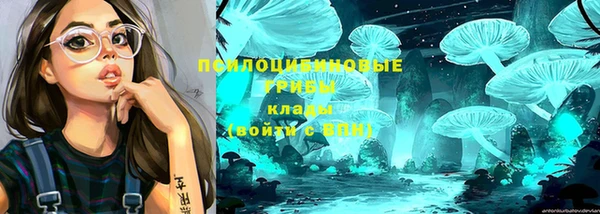 мет Абинск