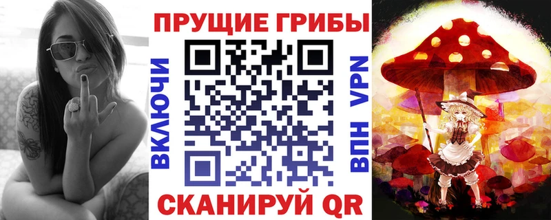 купить наркоту  Черкесск  Галлюциногенные грибы MAGIC MUSHROOMS 