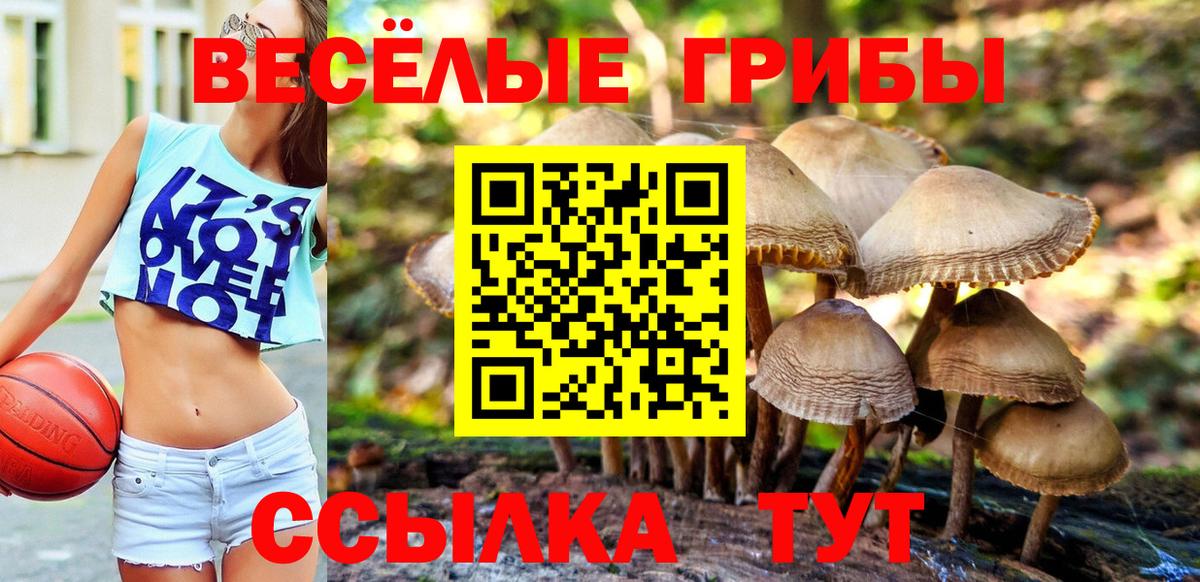 Галлюциногенные грибы Cubensis Черкесск