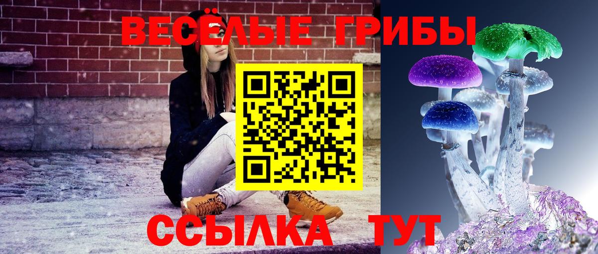 Псилоцибиновые грибы мицелий  Вход с VPN  где купить наркотик  Черкесск  Галлюциногенные грибы MAGIC MUSHROOMS 